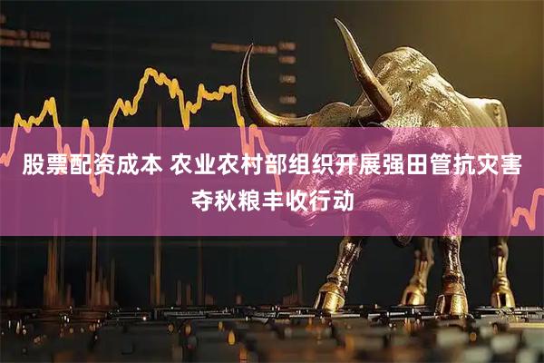 股票配资成本 农业农村部组织开展强田管抗灾害夺秋粮丰收行动
